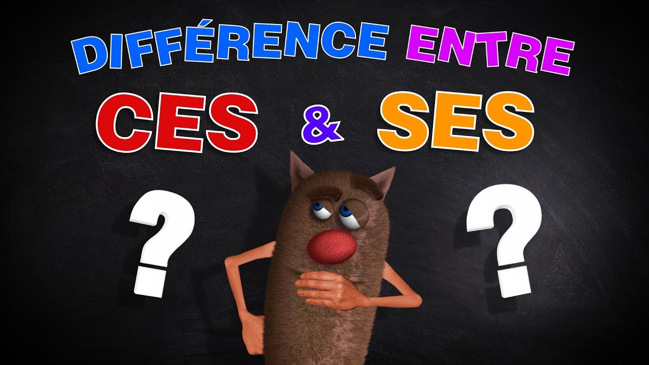 differences entre ces et ses