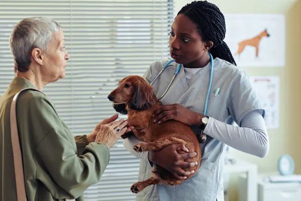 Conseils pour choisir et réussir dans un métier en V