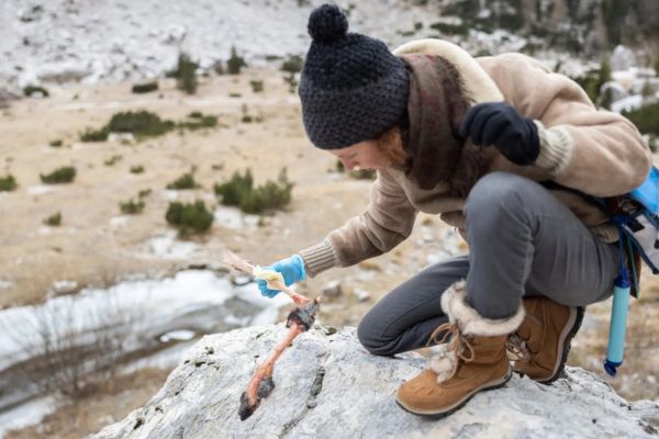 Reconversion professionnelle vers un métier en Z